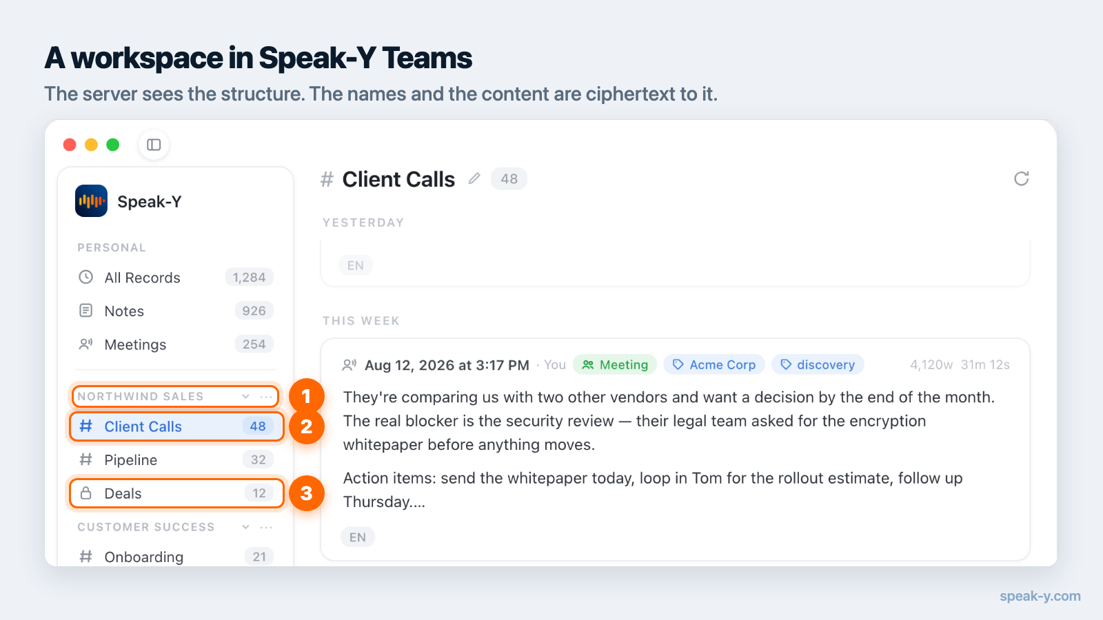 Speak-Y Teams workspace with the workspace name, a public channel and a private channel highlighted