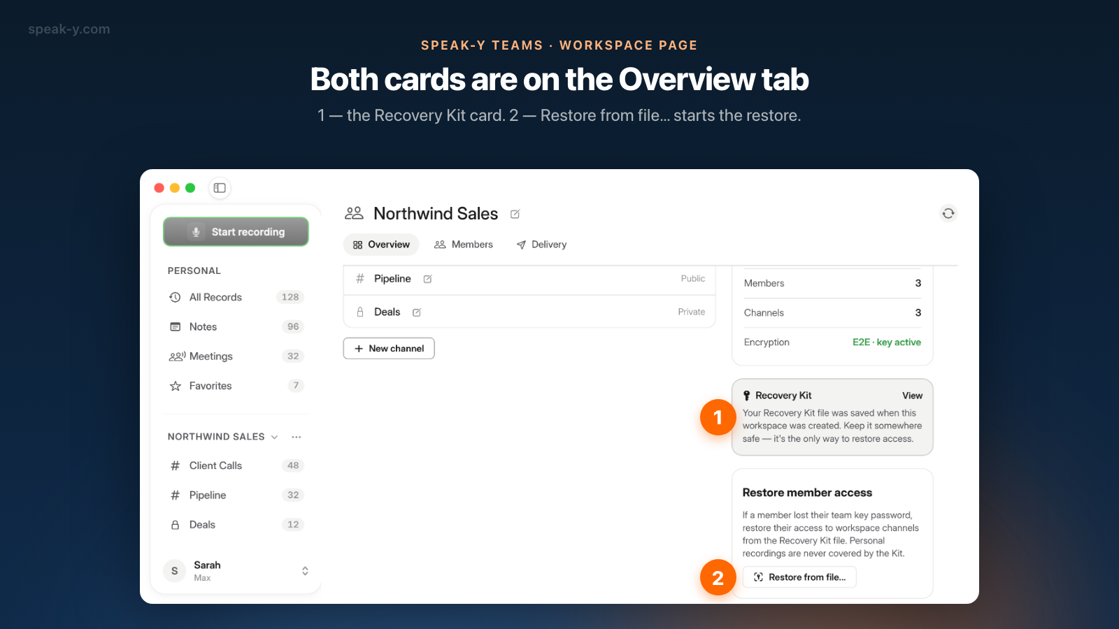 The Overview tab of a Speak-Y workspace with the Recovery Kit card and the Restore member access card